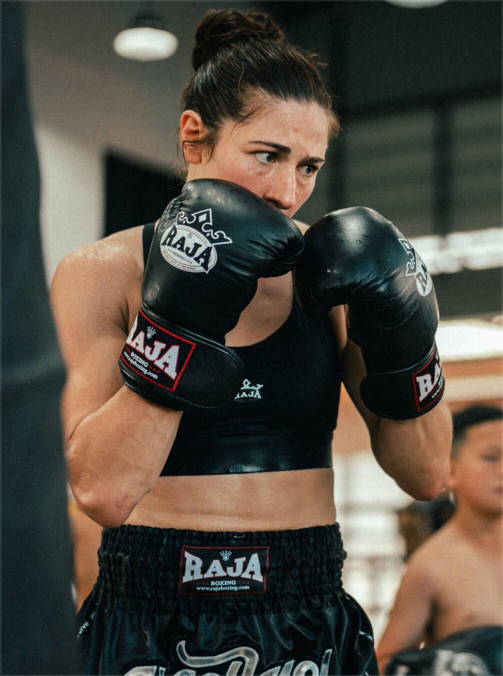 boxer